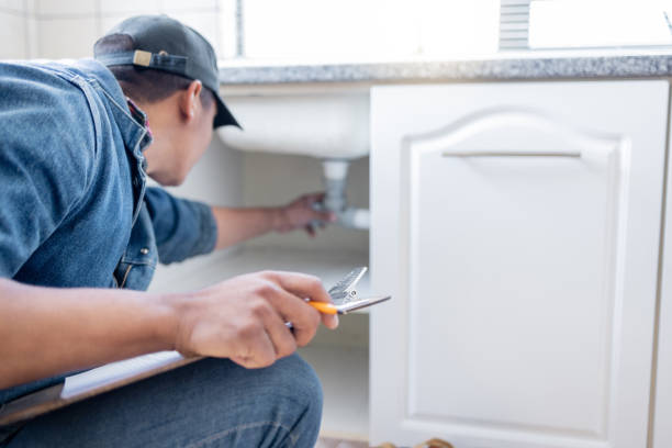 Best Plumbing Inspections & Maintenance in Knoxvle, IL